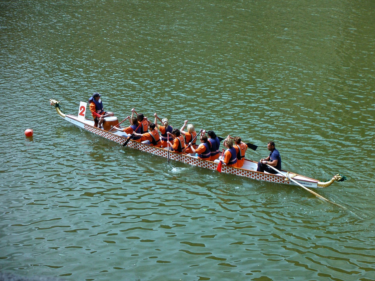 rowing team row boat water sports free photo