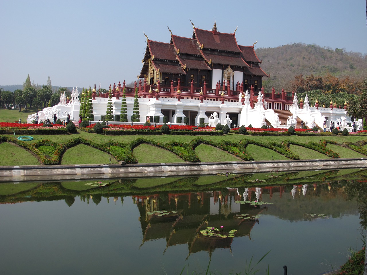 royal park chiang mai chiang mai rajapruek free photo