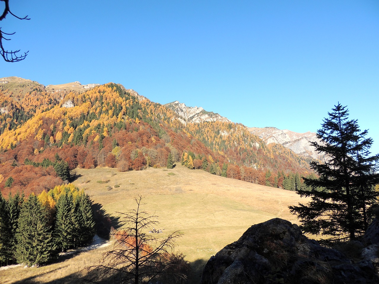 royal sheepfold mountain sinaia free photo