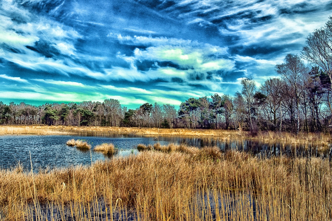 rozenven water blue sky free photo