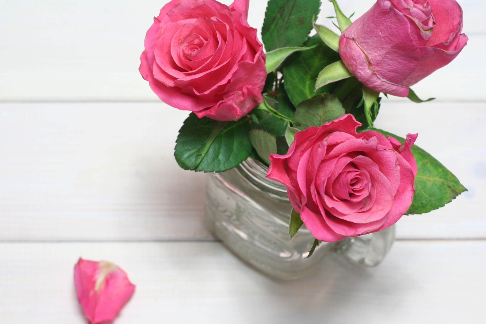 roses vase pink free photo