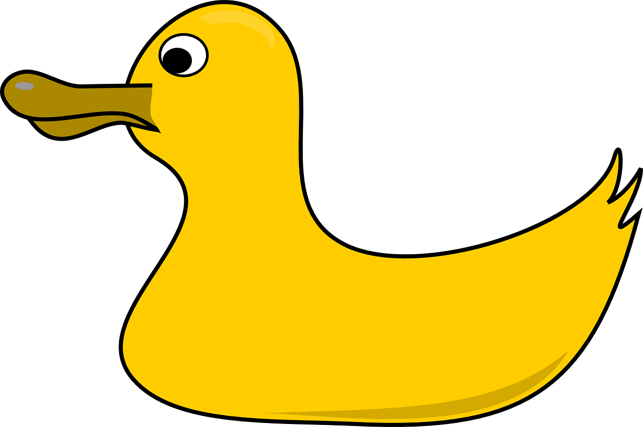 rubber duck yellow free photo
