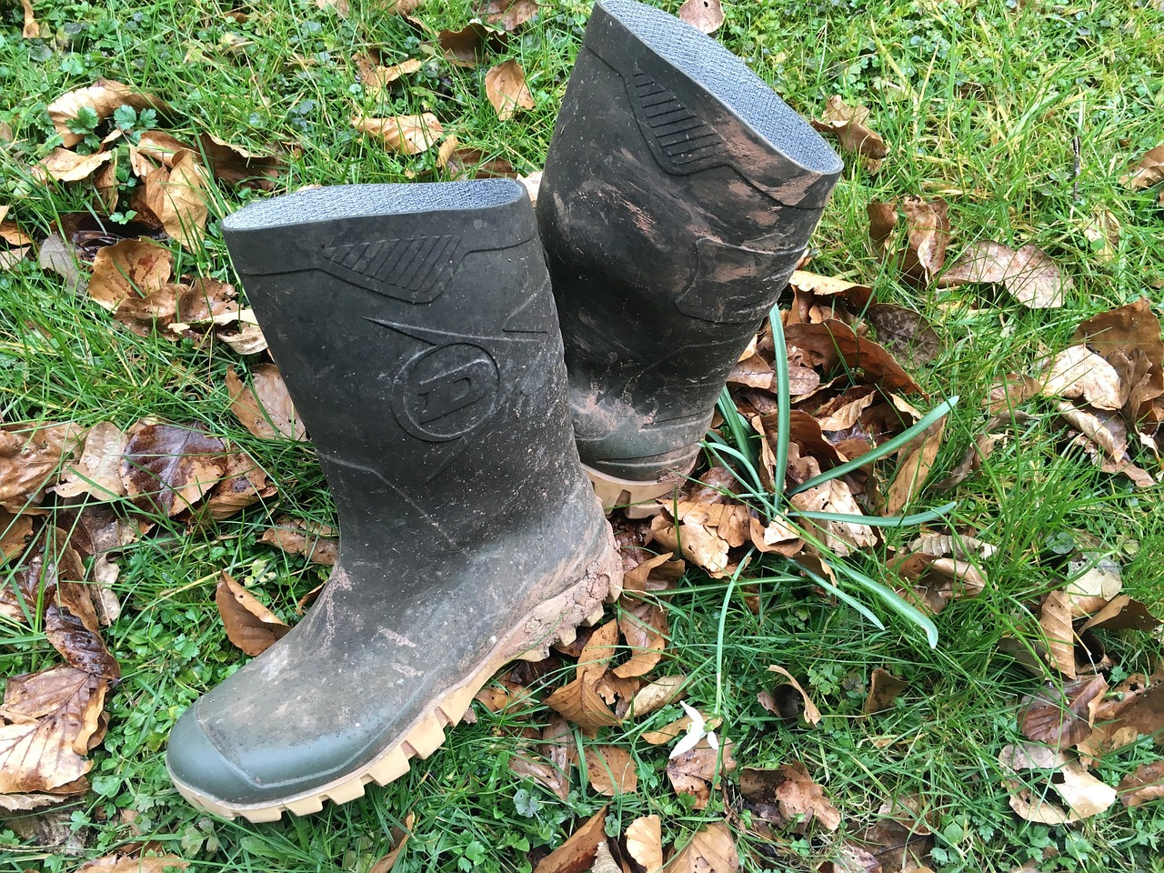 rubber boots garden gardening free photo