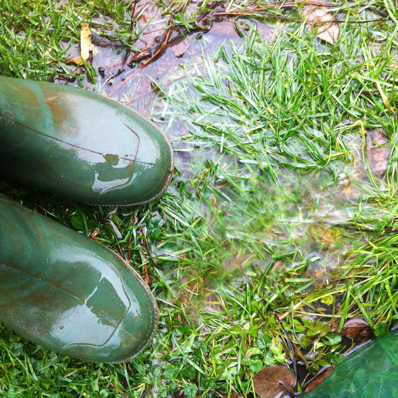 rubber boots rain autumn free photo