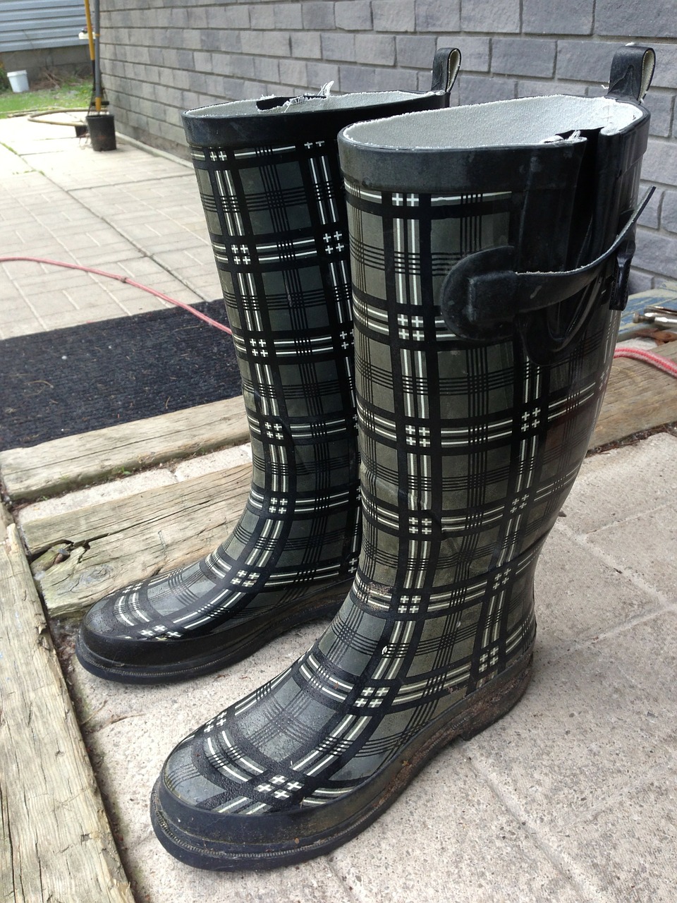 rubber boots wellingtons boots free photo