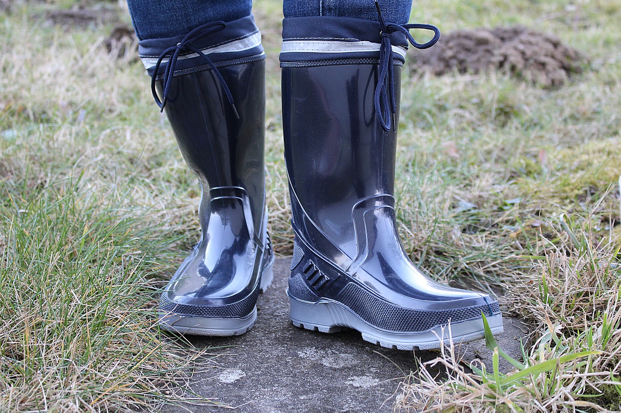 rubber boots boots shoes free photo
