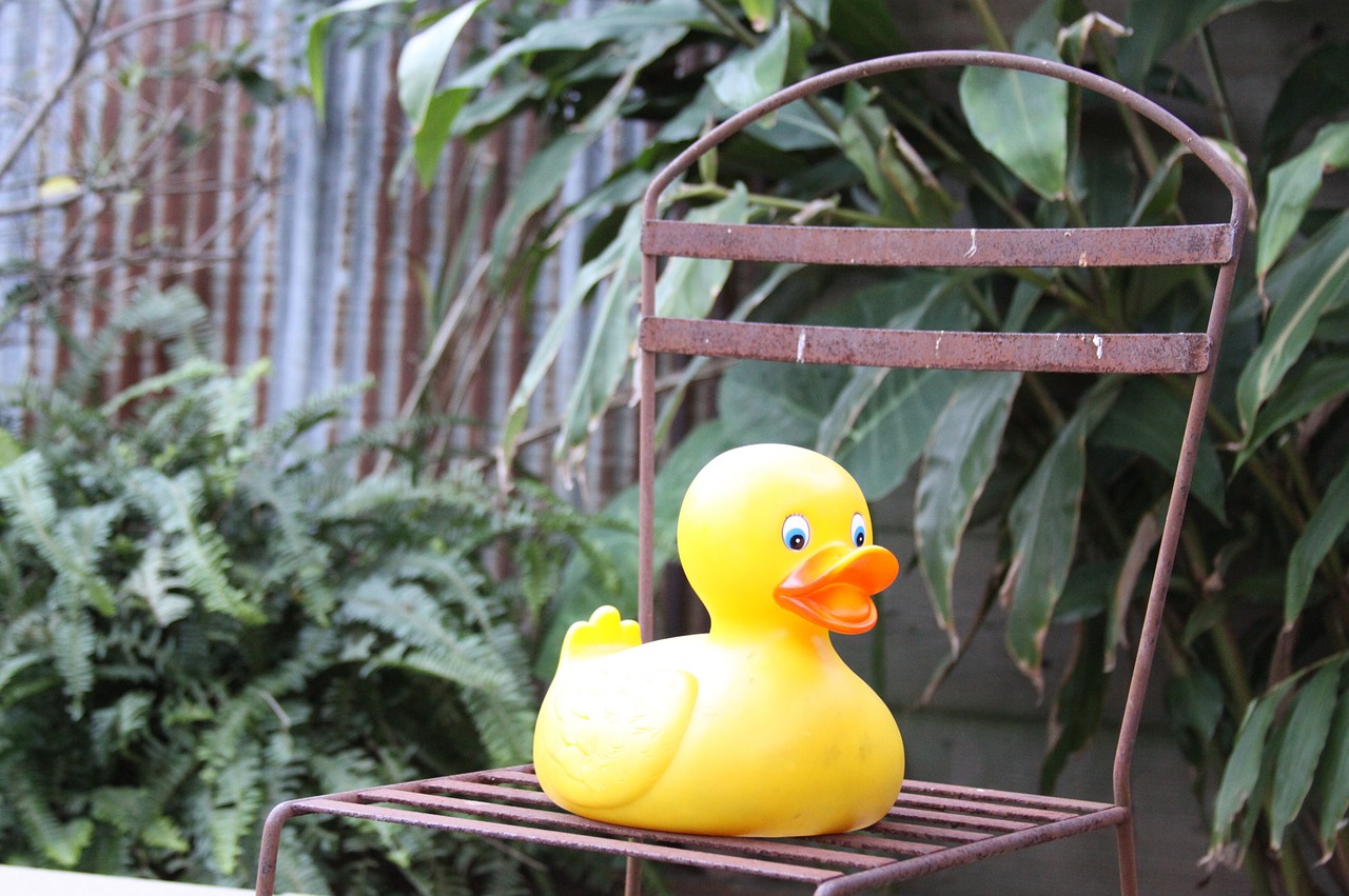 rubber duck chair iron free photo