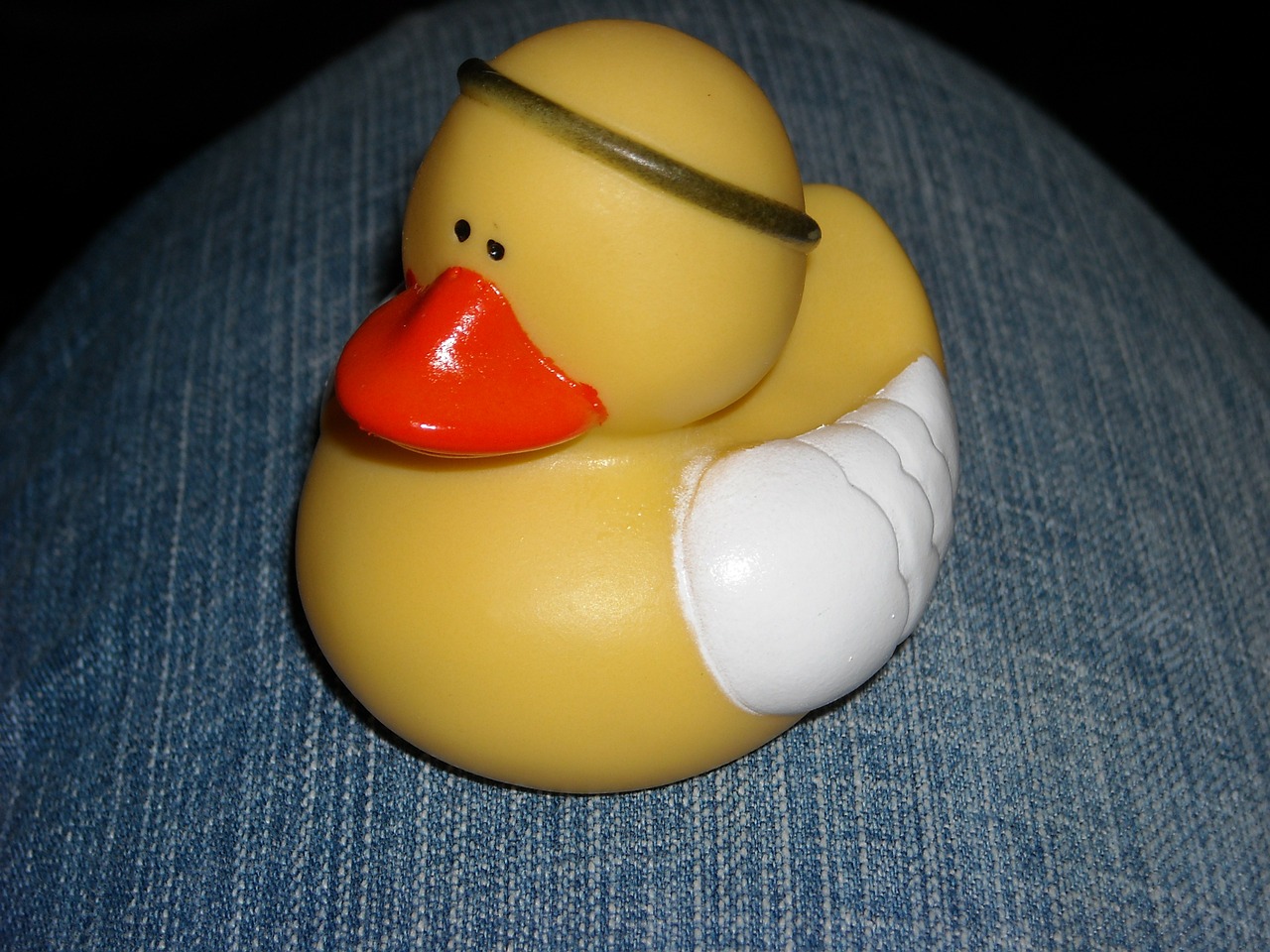 rubber duck toy yellow free photo
