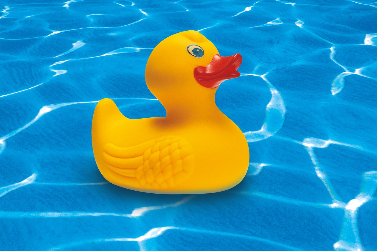 rubber duck squeak duck yellow free photo