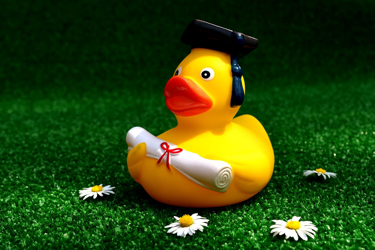 rubber duck school-leaving certificate testing free photo