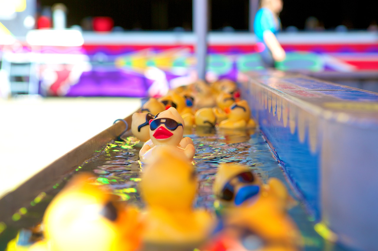 rubber duck  game  amusement free photo