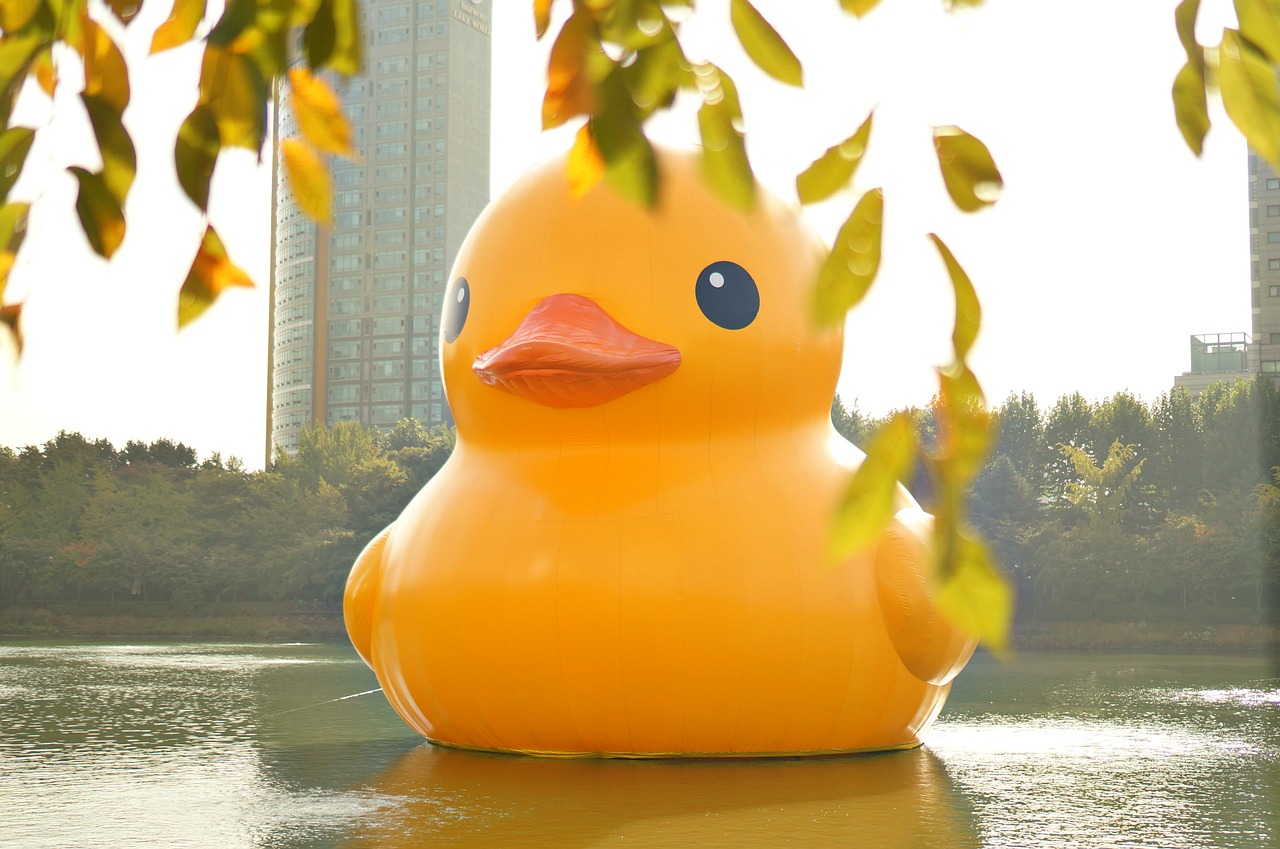 rubber duck duck doll free photo