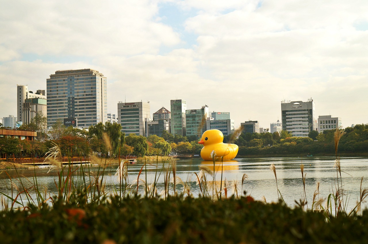 rubber duck sky river free photo