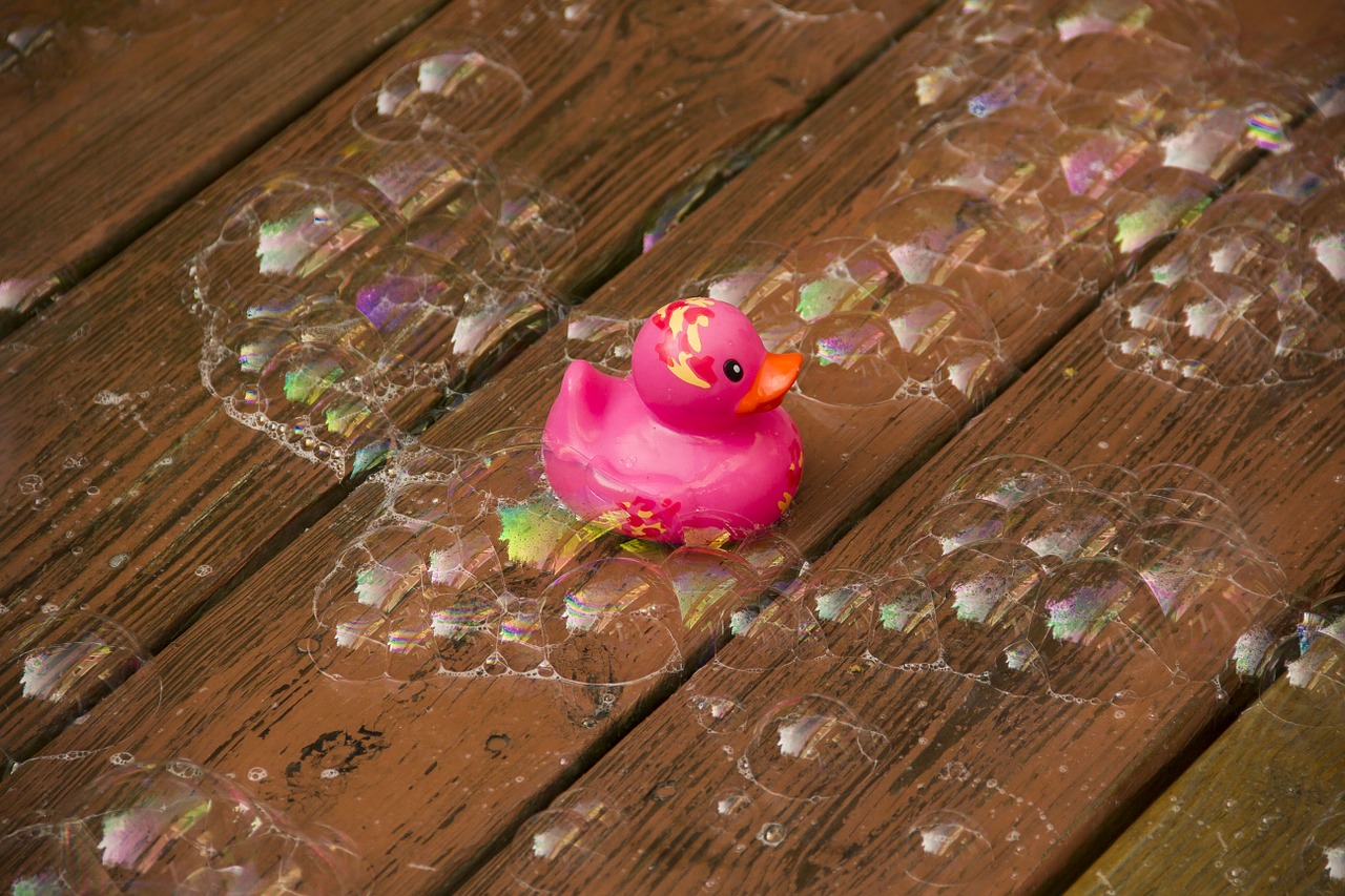 rubber duck bubbles toy free photo