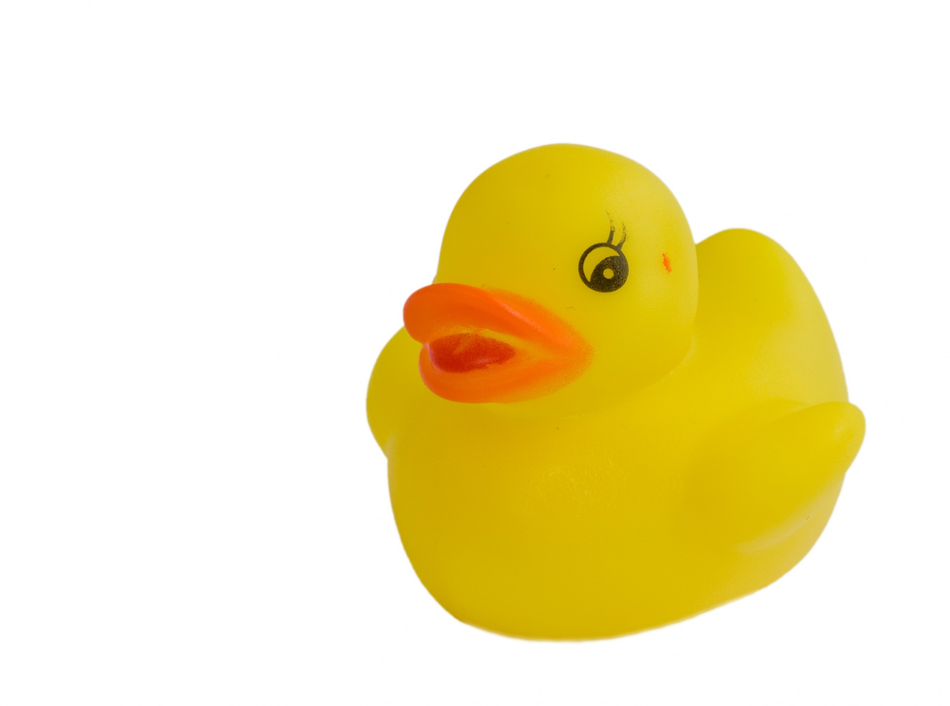 yellow rubber duck rubber duck duck free photo