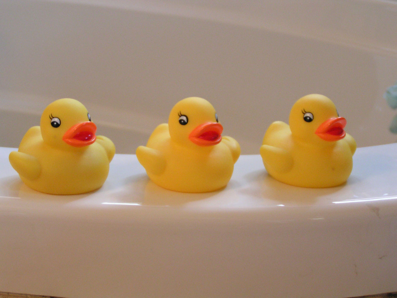 dubber duckies bathtub free photo