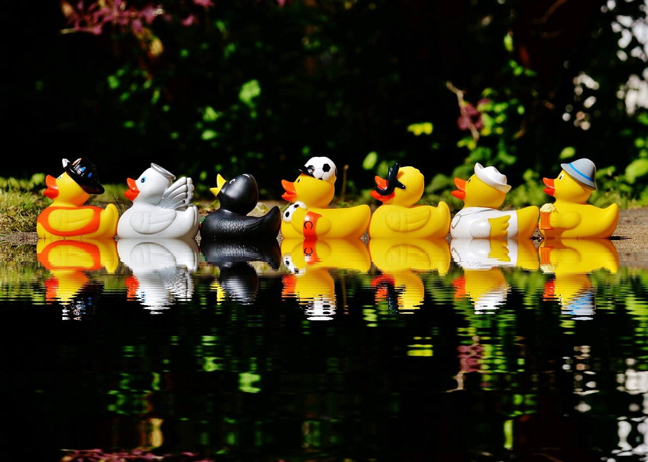 rubber ducks bath ducks fun bathing free photo