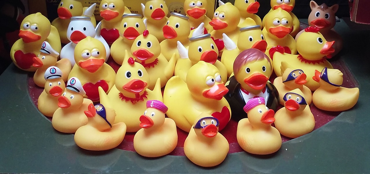rubber ducks toys bath ducks free photo