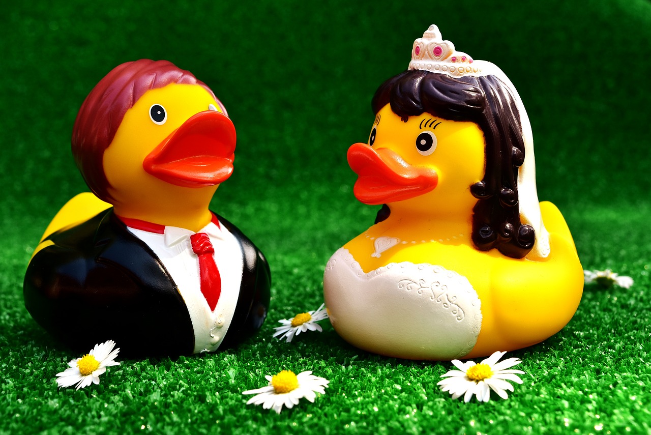 rubber ducks wedding bride and groom free photo