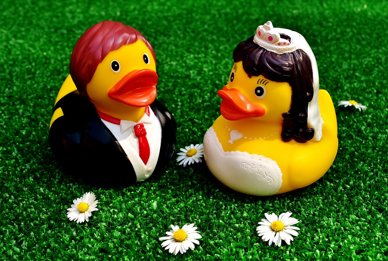 rubber ducks wedding bride and groom free photo