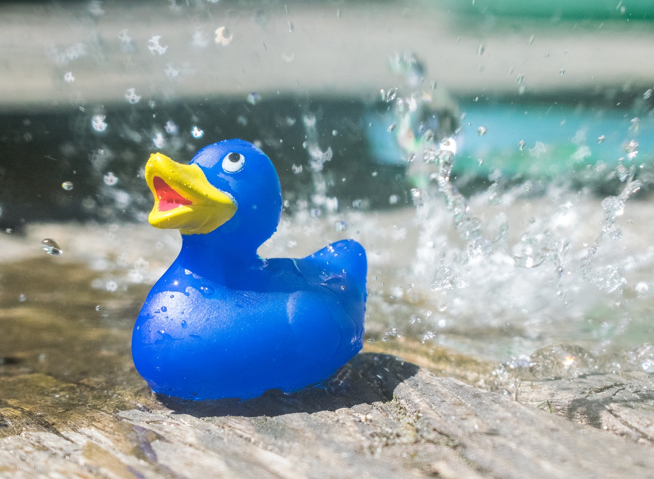 rubberduck toy water free photo