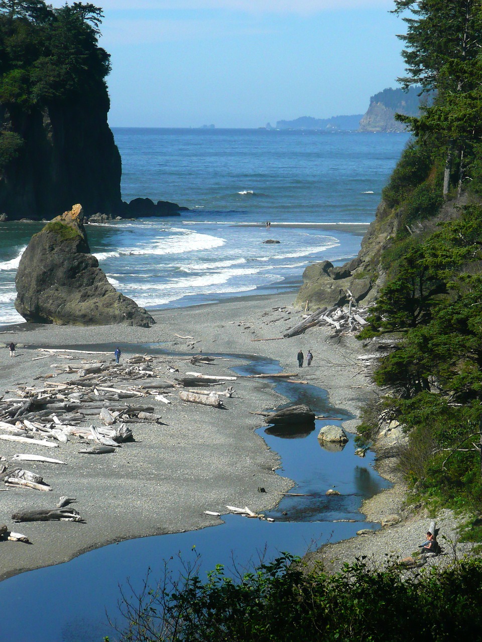 ruby beach washington free photo