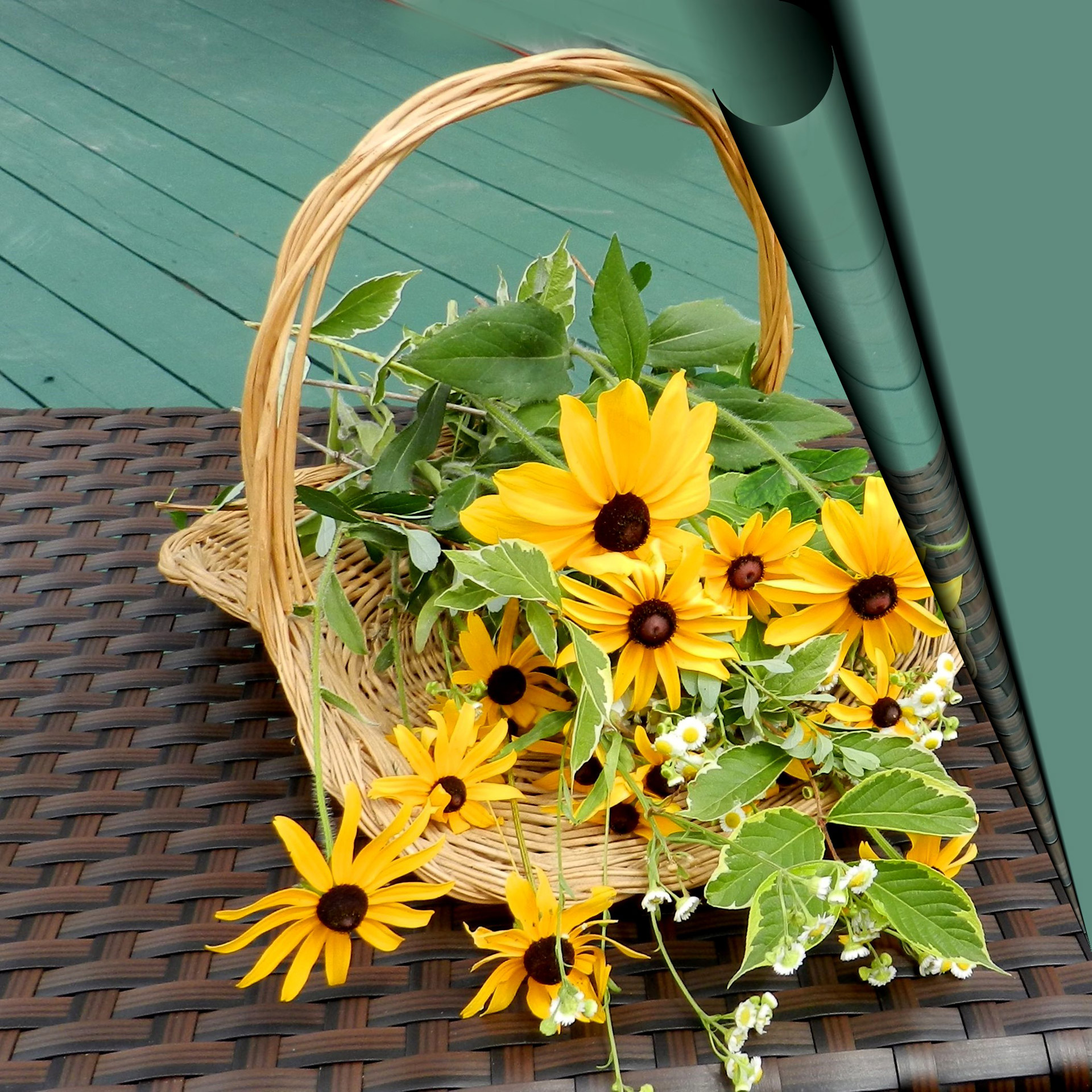 bouquet rudbeckia basket free photo