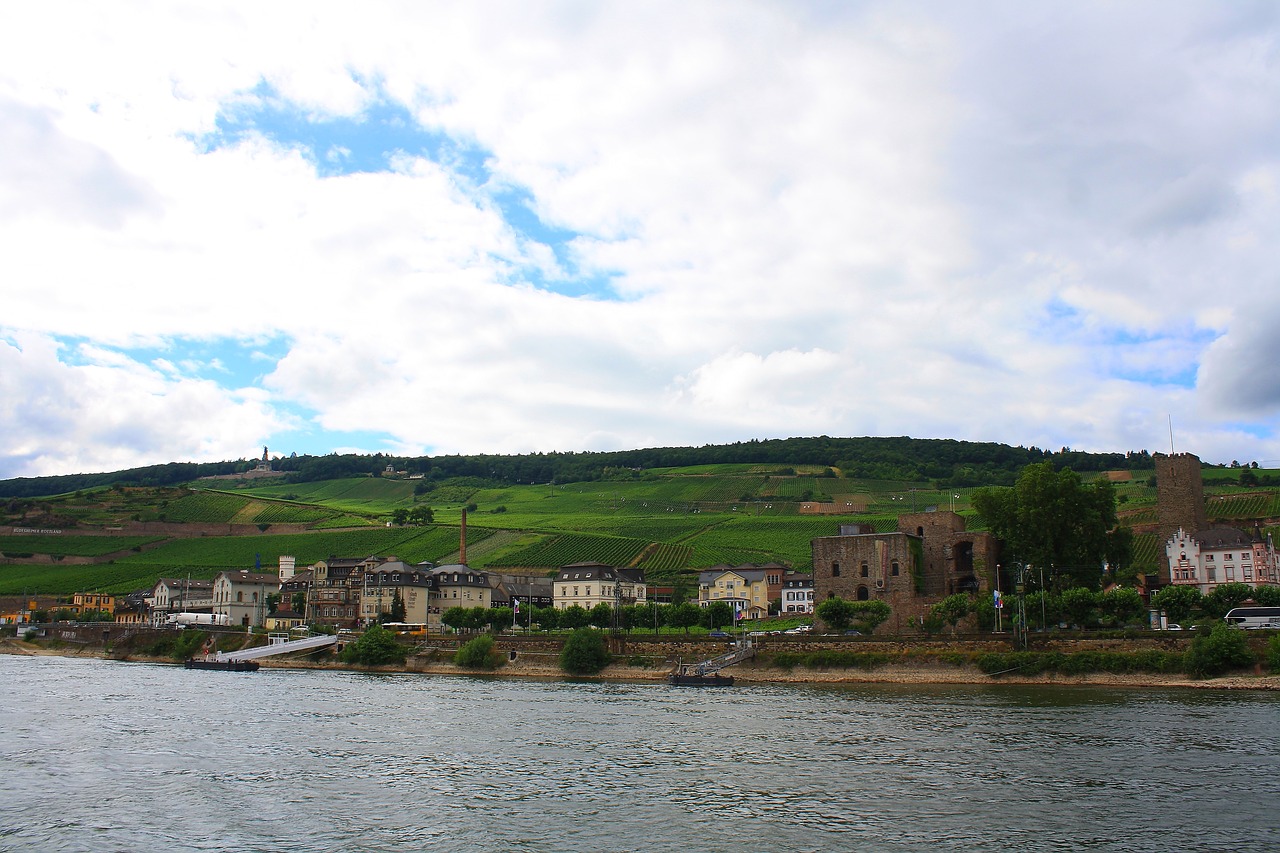 rüdesheim  landscape  rhine free photo