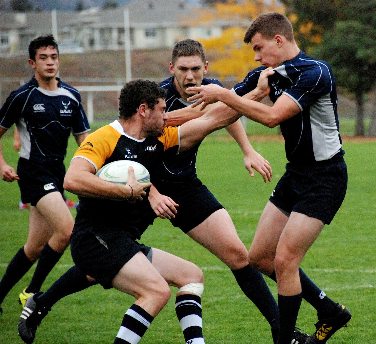 rugby sport game free photo