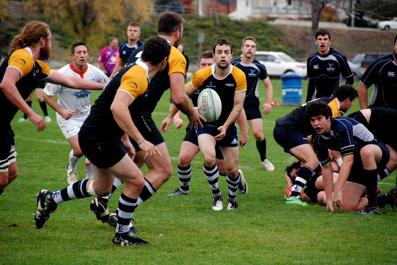 rugby sport game free photo