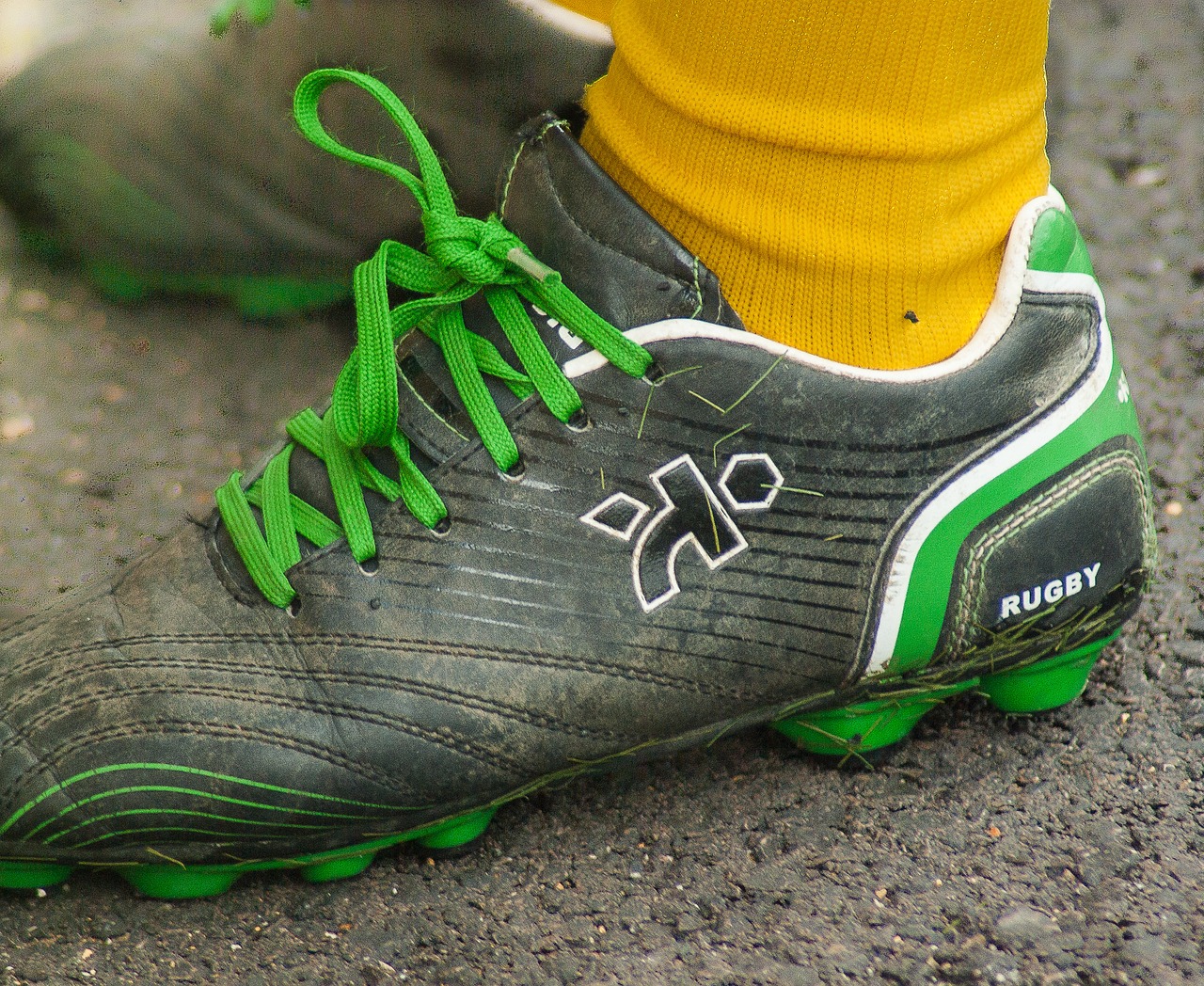 rugby shoes laces free photo