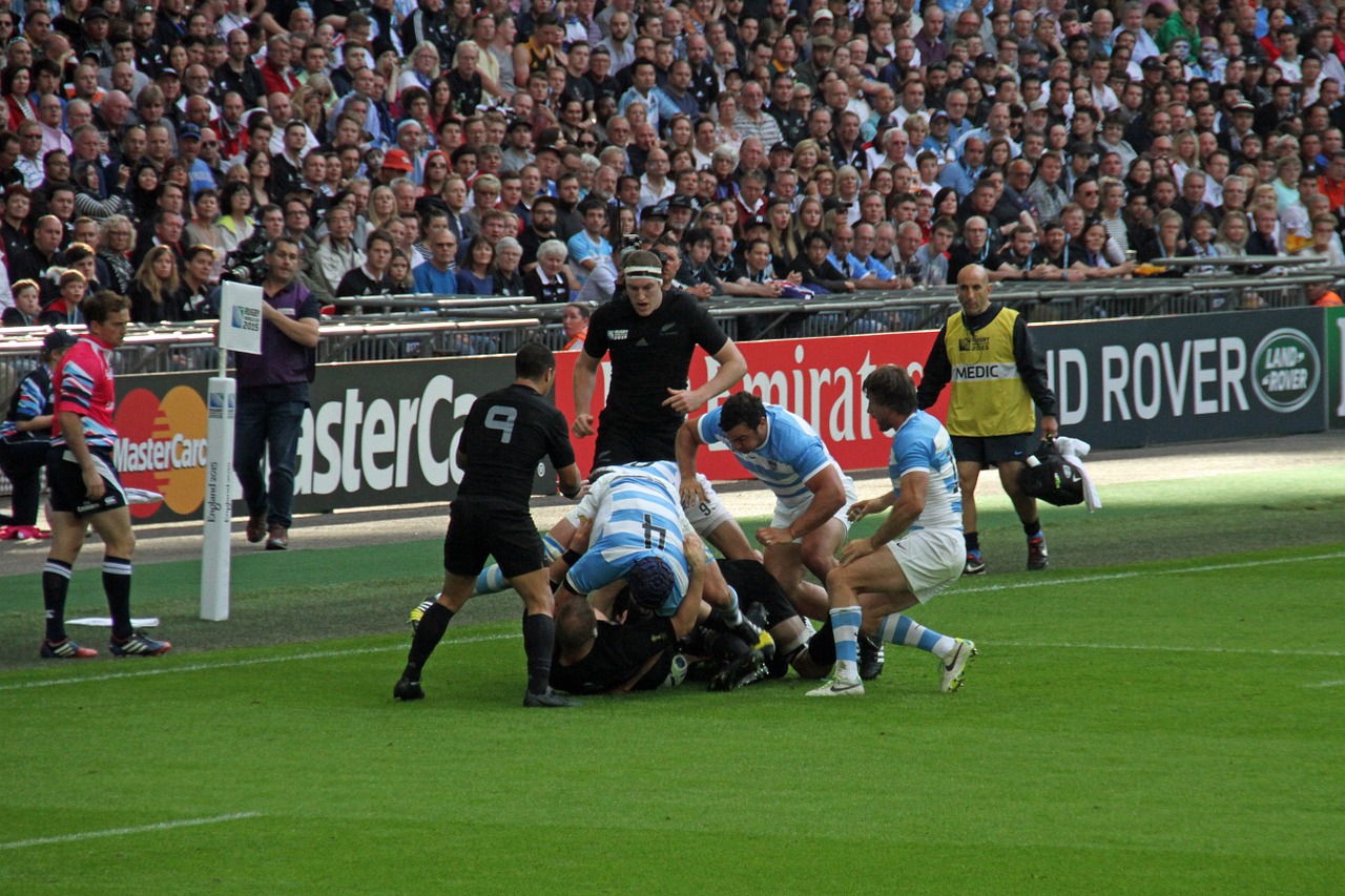 rugby players world free photo