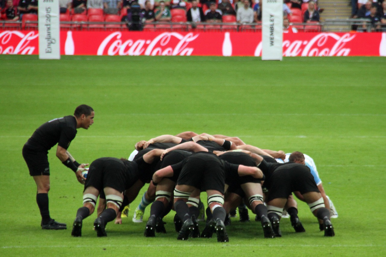 rugby players world free photo