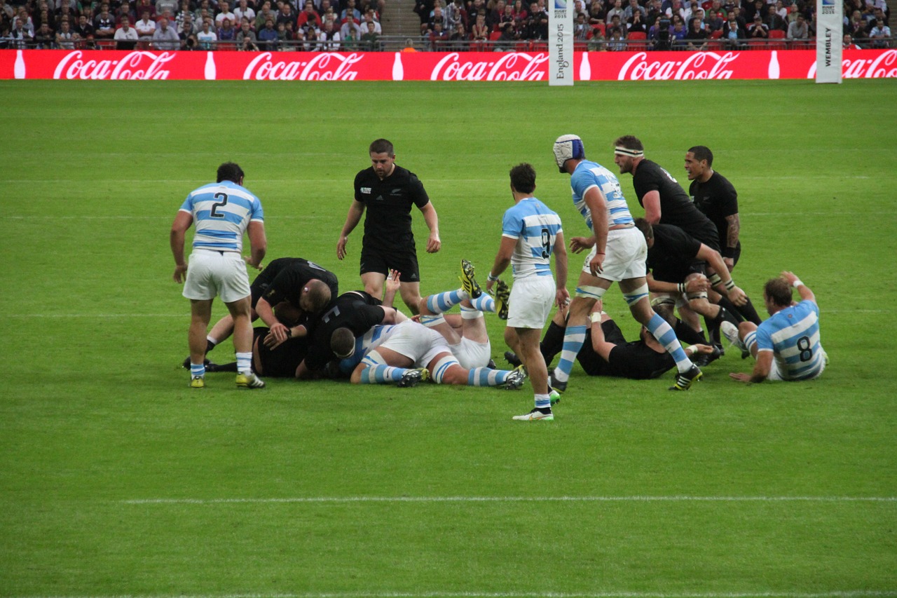 rugby players world free photo