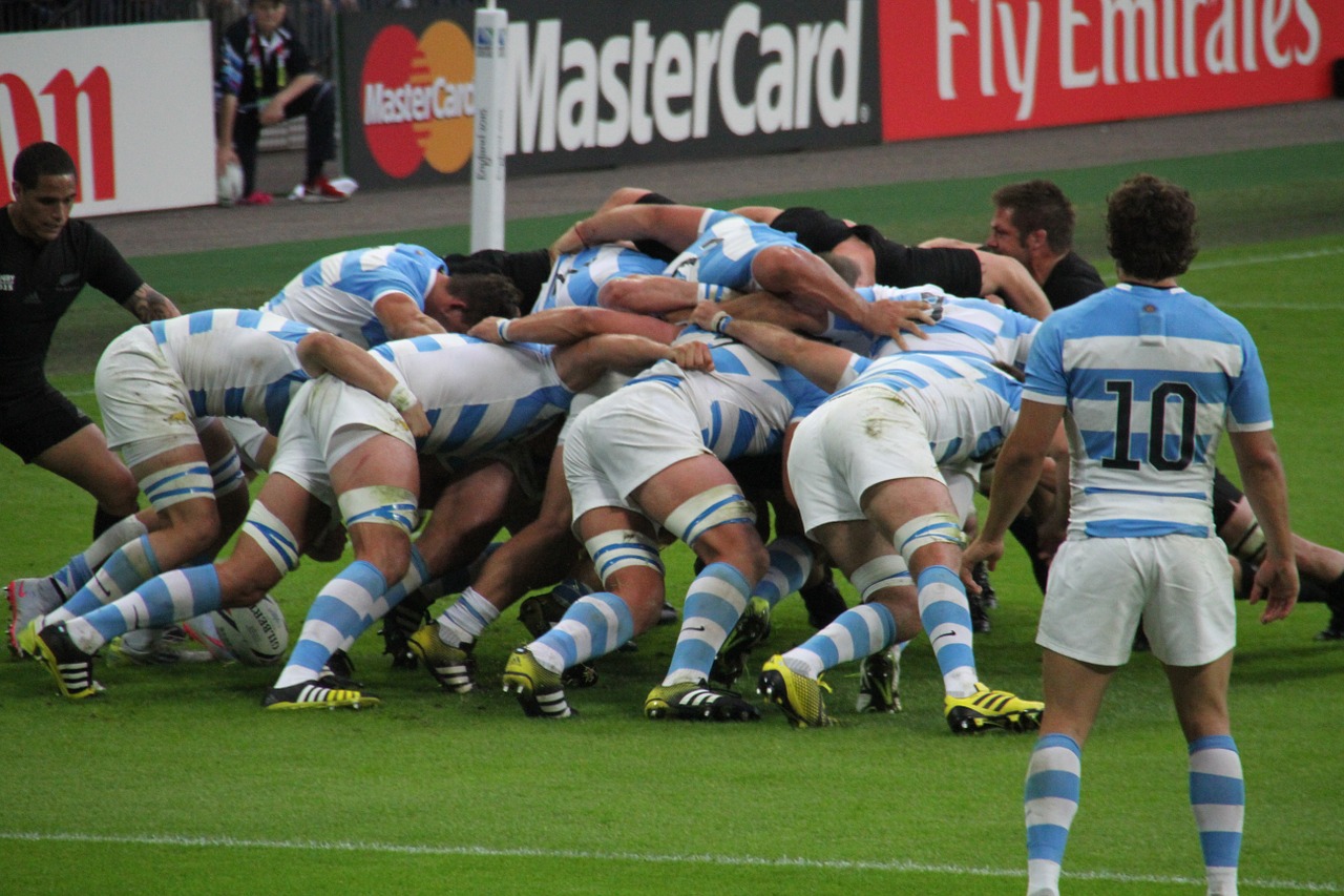 rugby players world free photo
