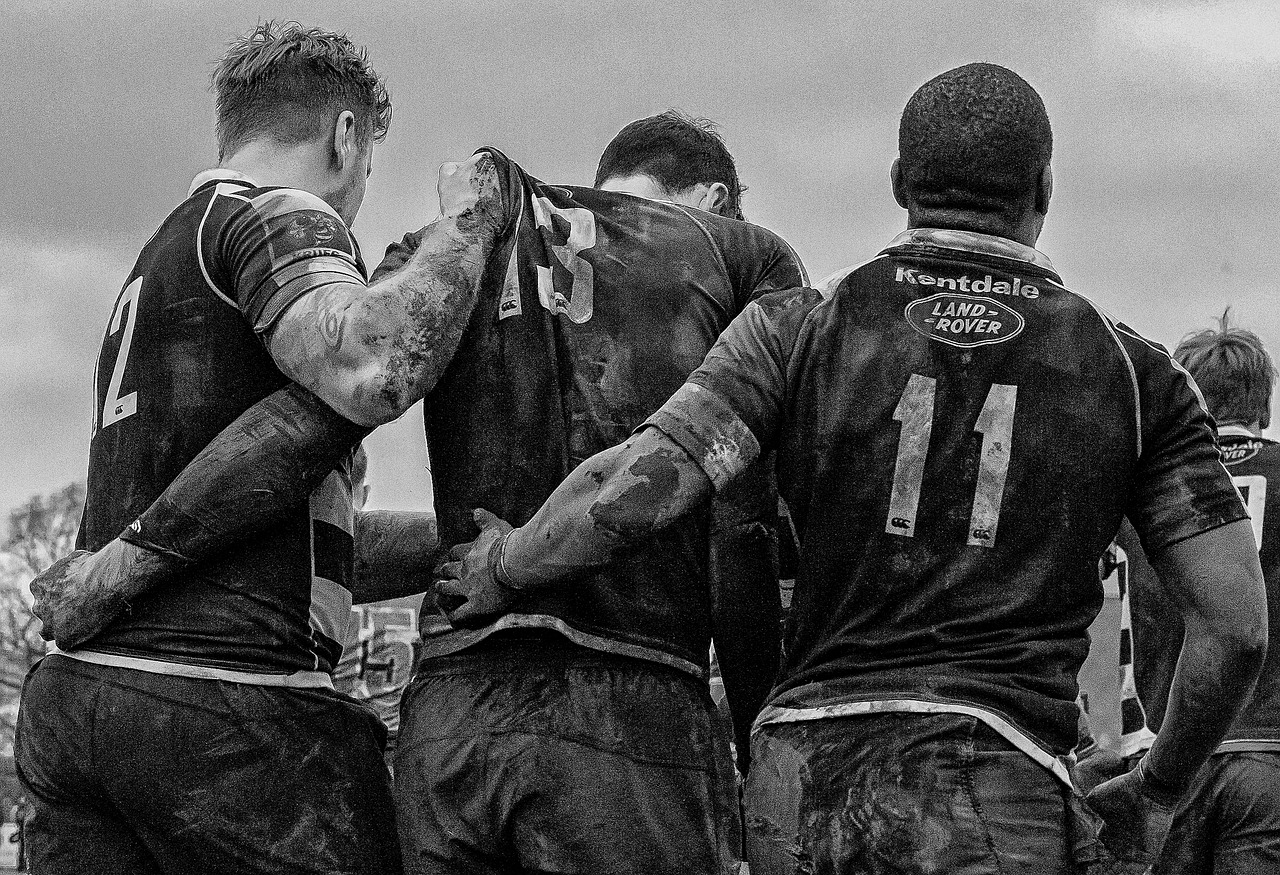 rugby  rugby sport  rugby union free photo
