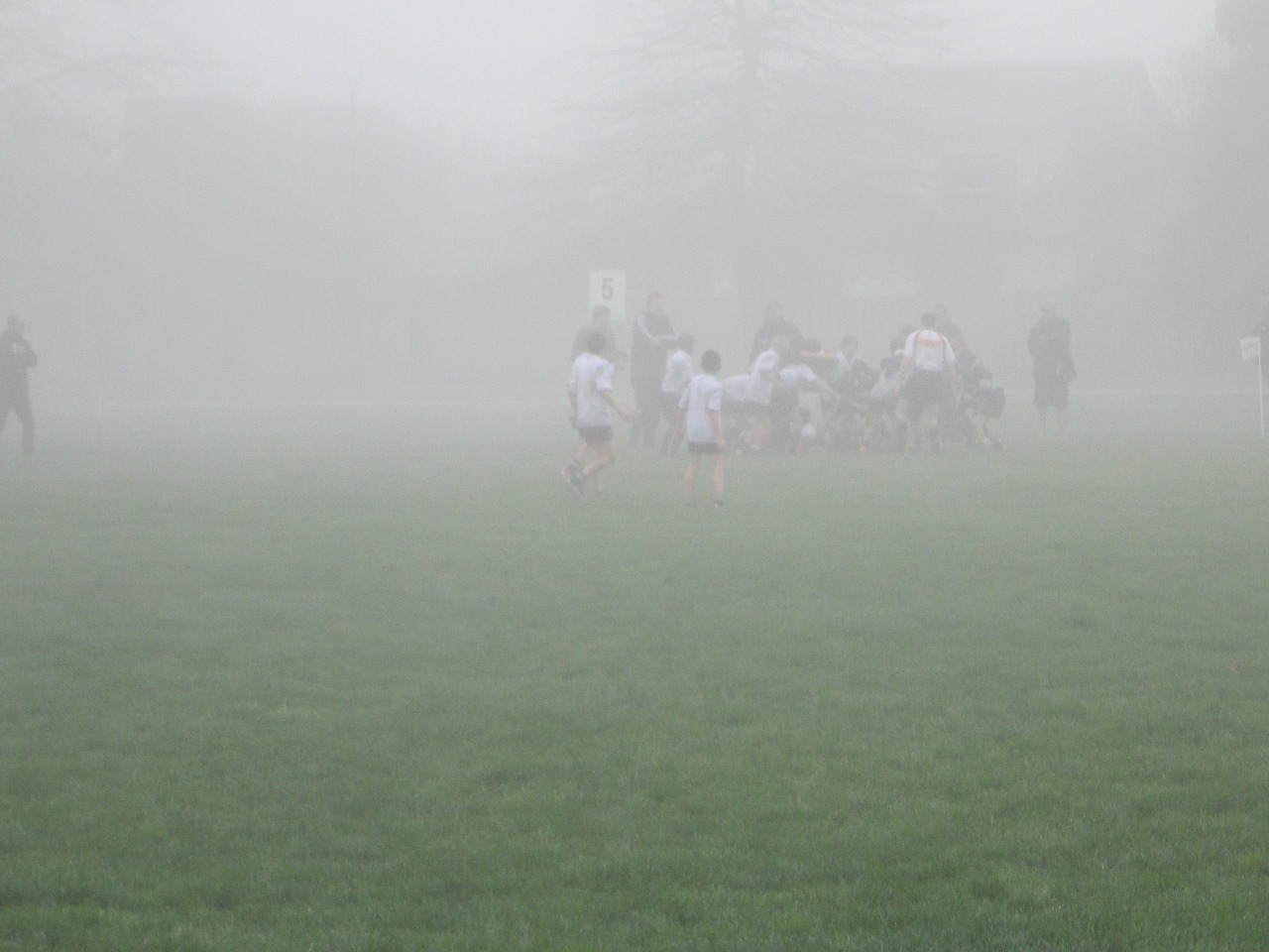 rugby fog playing free photo