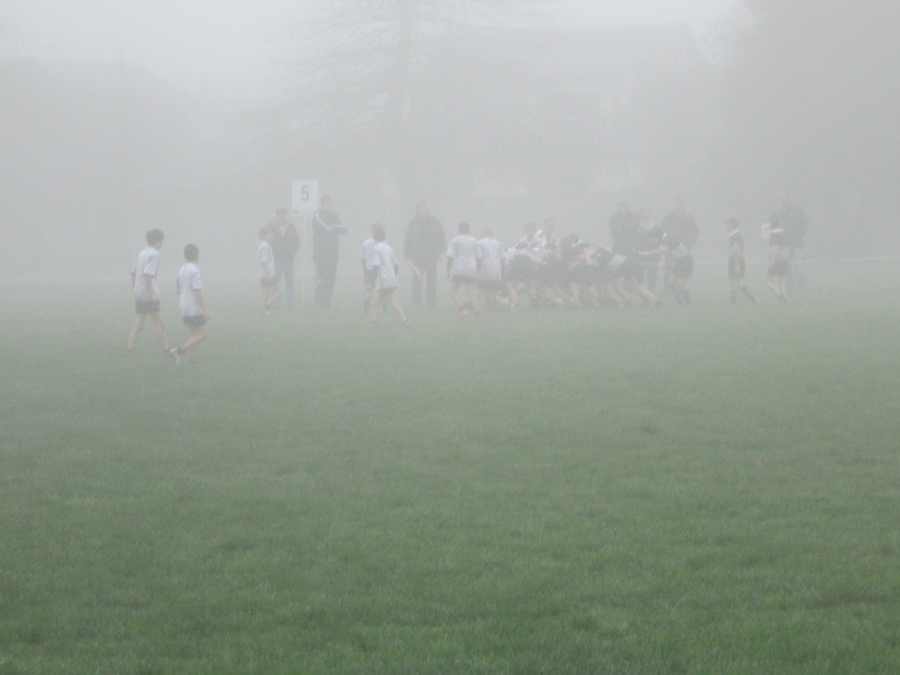 rugby fog sport free photo