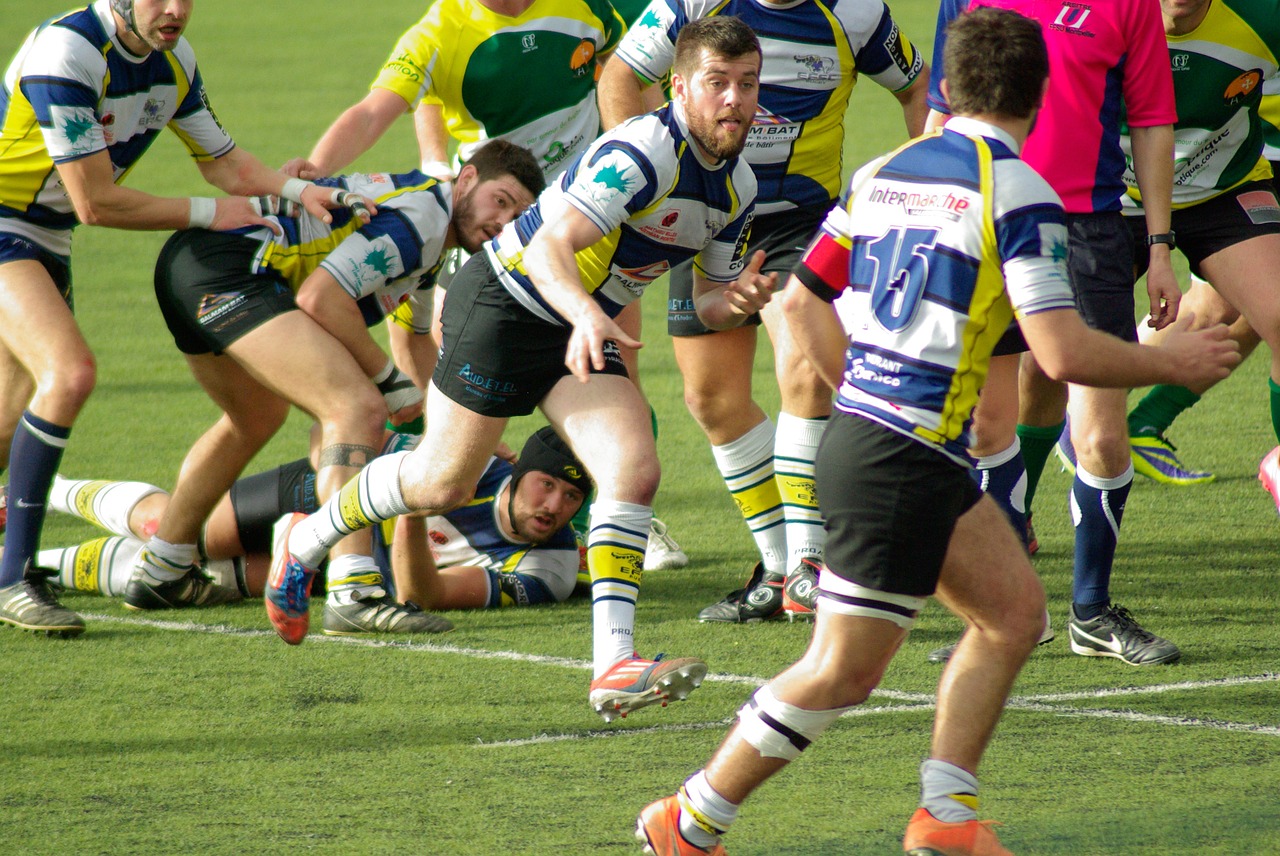 rugby match sports free photo