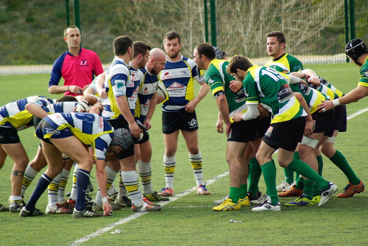 rugby match ball free photo