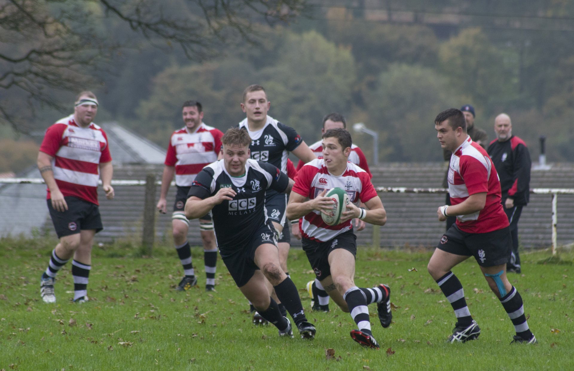 rugby football sport free photo