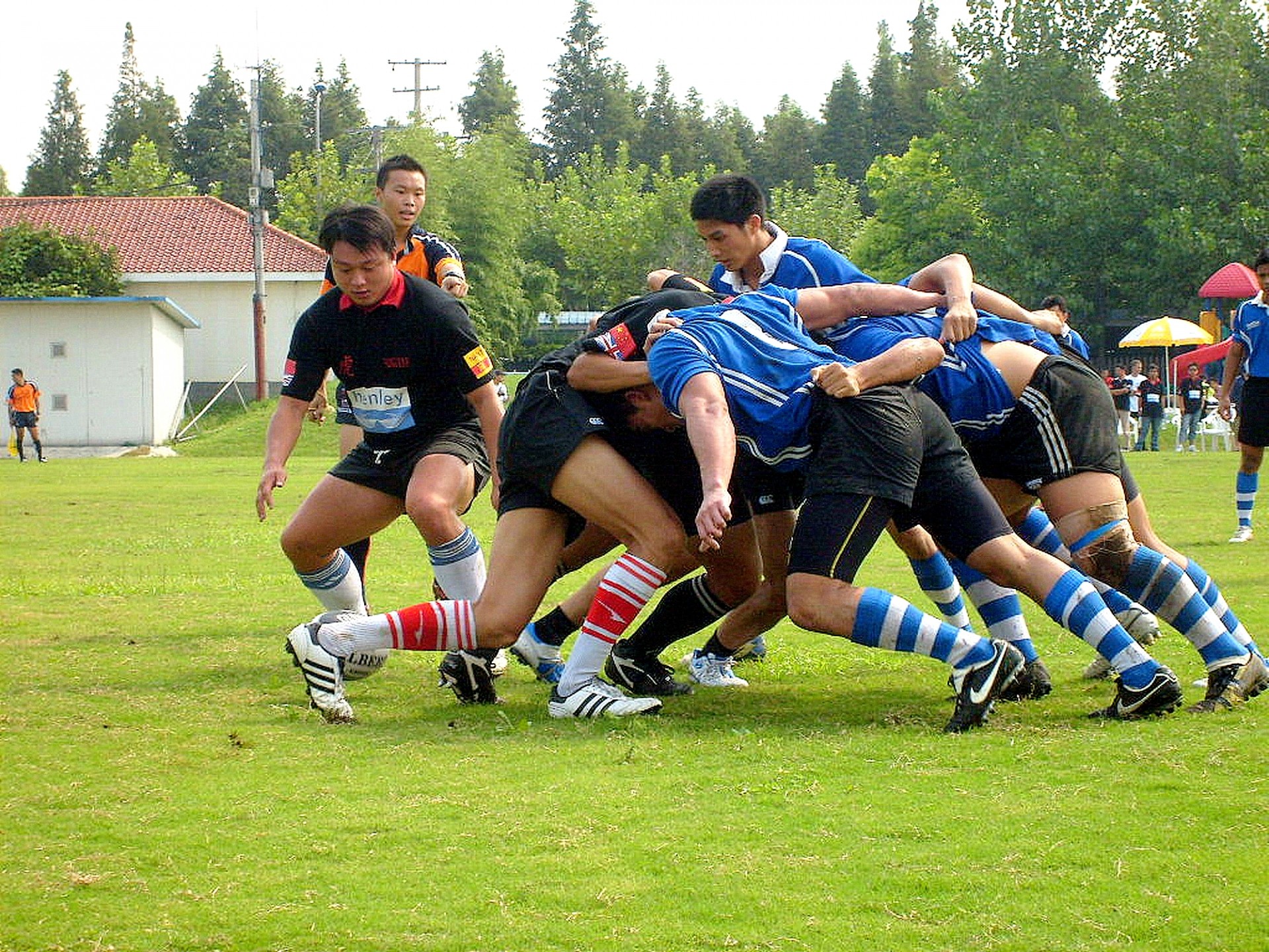 sports rugby scrum free photo