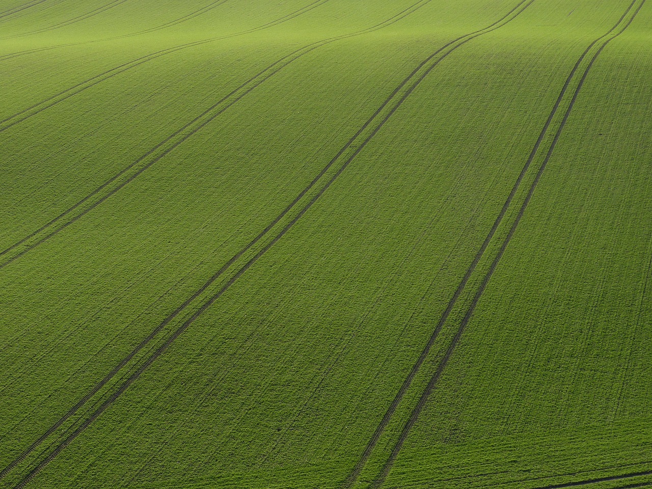 rügen field arable free photo