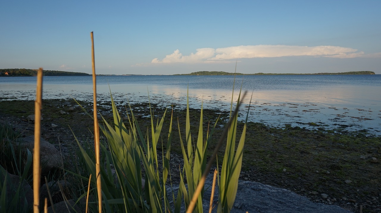 rügen sea germany free photo