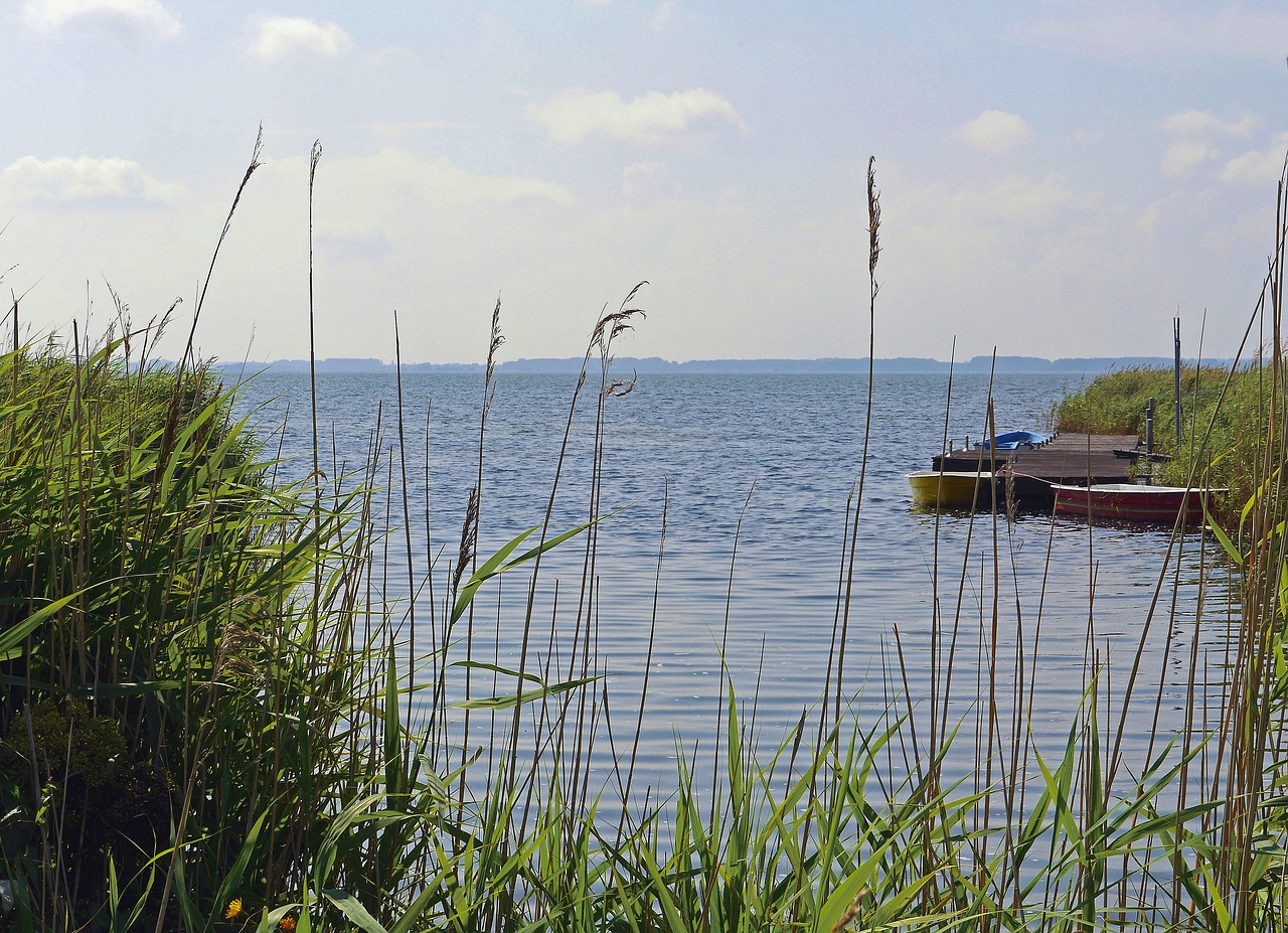 rügen  bodden  west side free photo