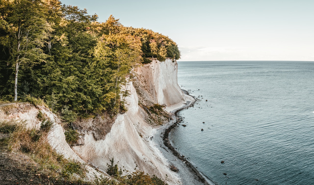rügen  white cliffs  baltic sea free photo