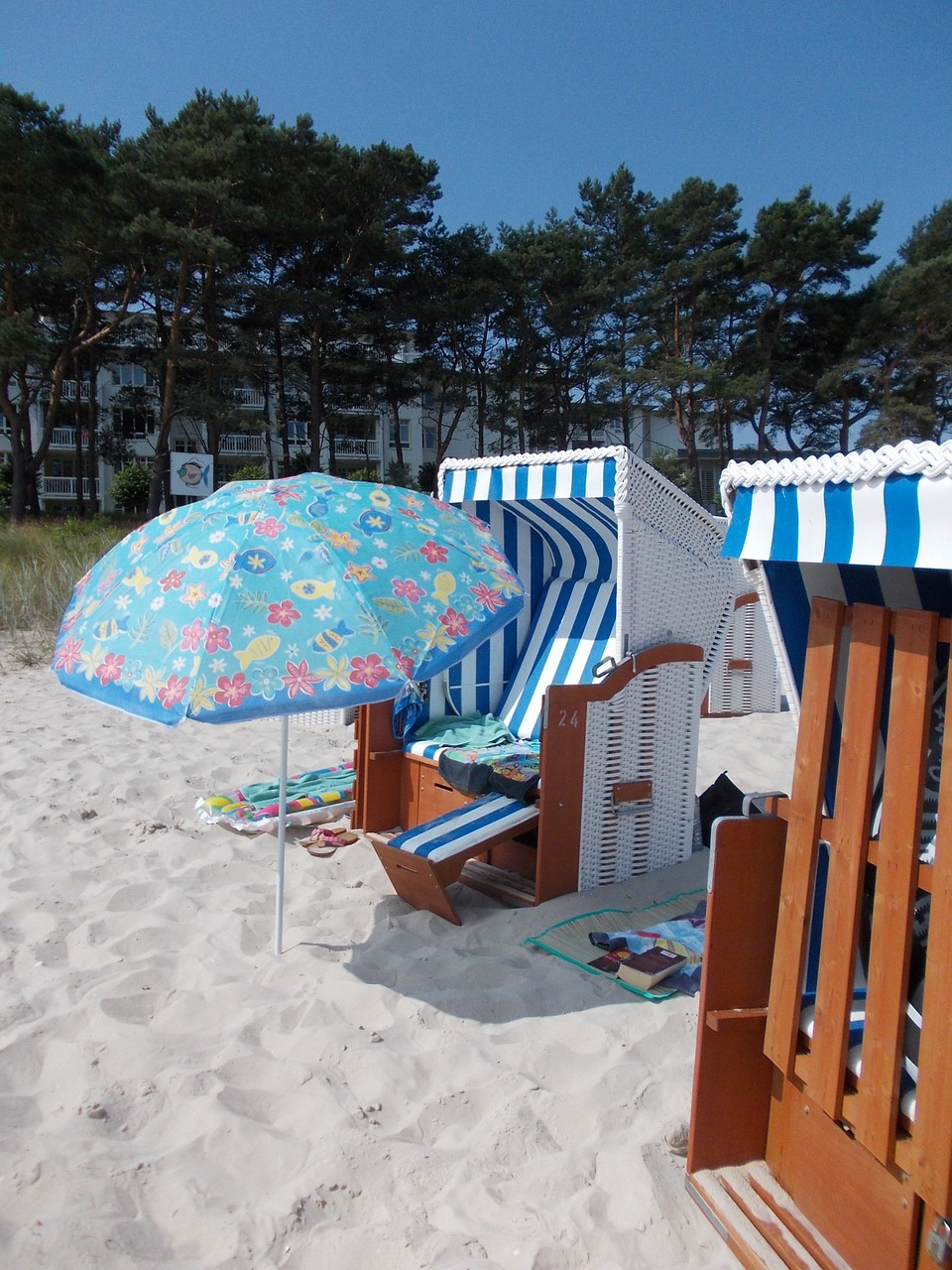 rügen beach rügen island free photo