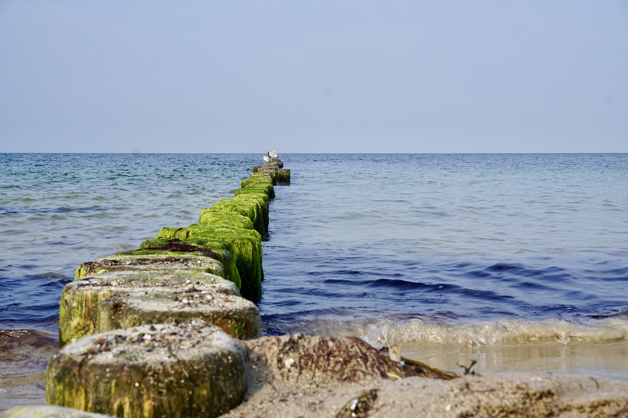 rügen island beach baltic sea free photo