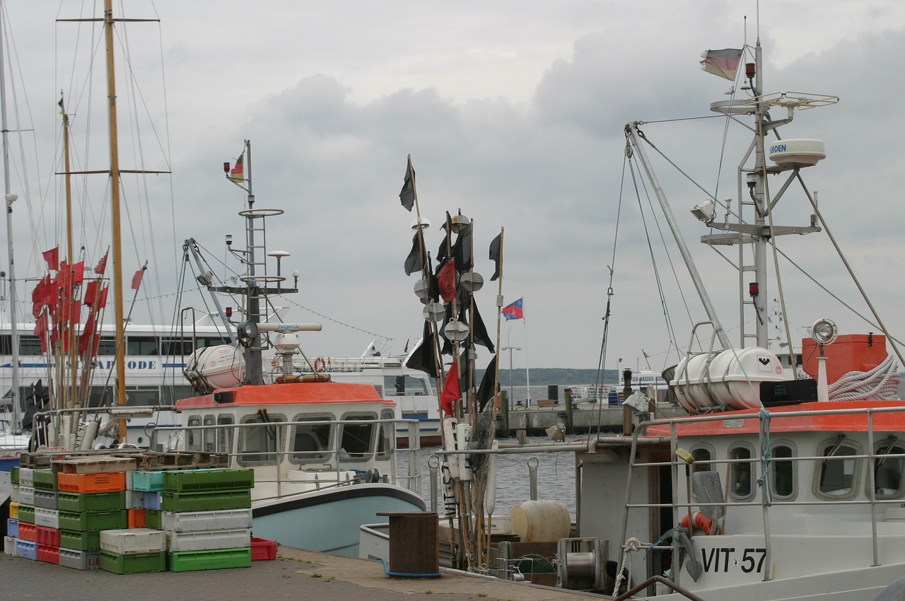 rügen island fishing port fishing boats free photo