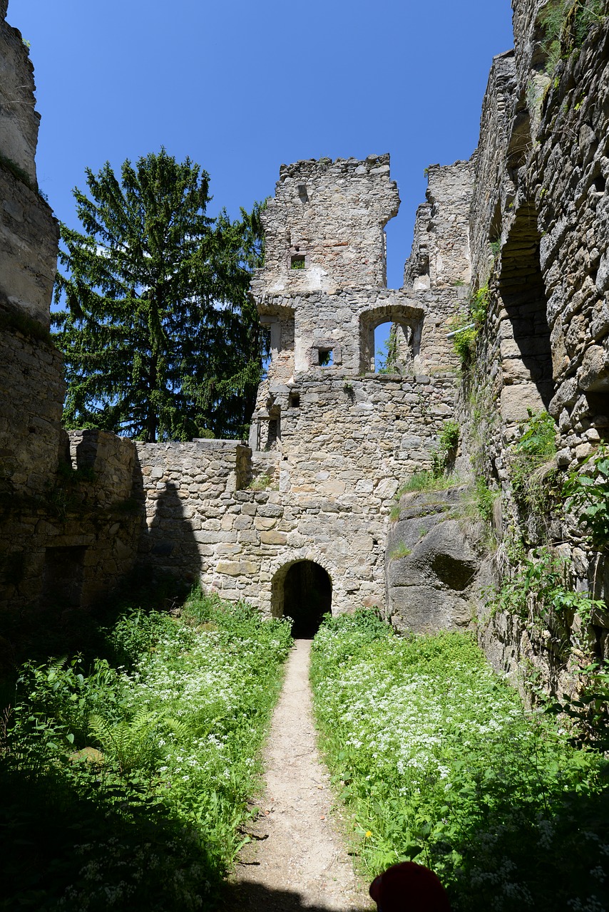 ruin castle ancient free photo